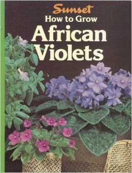 HOW TO GROW AFRICAN VIOLETS, SUNSET.