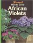 HOW TO GROW AFRICAN VIOLETS, SUNSET.